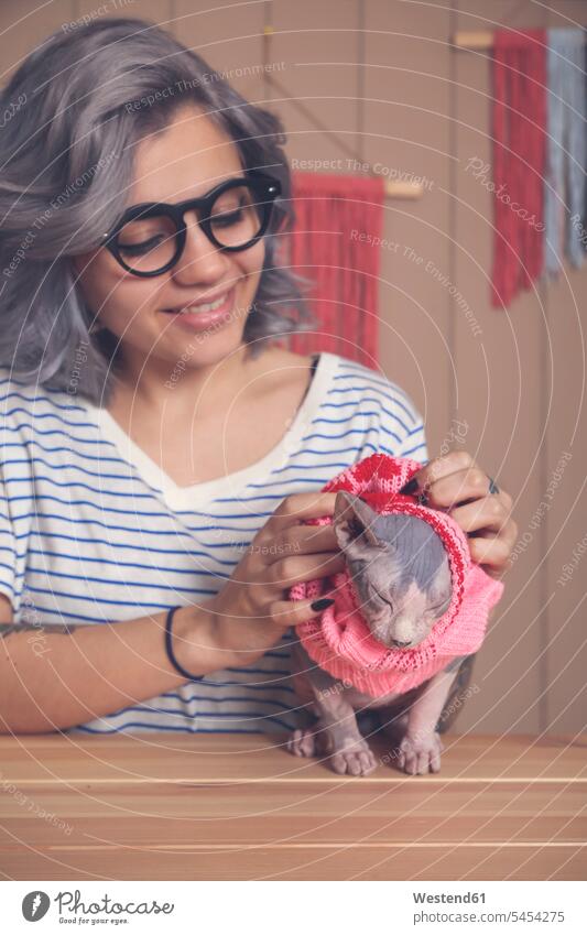 Frau zieht ihrer Sphynx-Katze zu Hause einen rosa Pullover an lächeln weiblich Frauen Katzen Erwachsener erwachsen Mensch Menschen Leute People Personen
