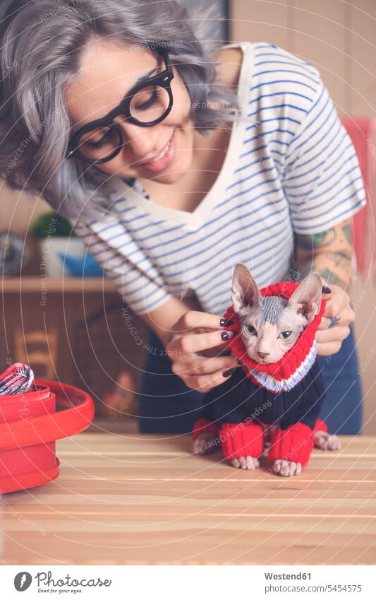 Frau zieht ihrer Sphynx-Katze zu Hause einen Pullover an lächeln weiblich Frauen Katzen Erwachsener erwachsen Mensch Menschen Leute People Personen Haustier