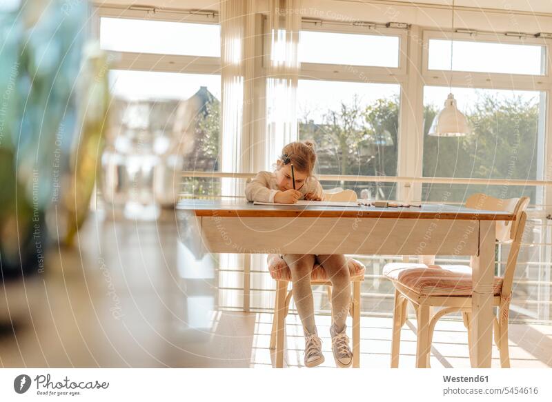 Mädchen zu Hause malt am Tisch malen Kind Mensch Zuhause Europäer Freizeitkleidung Vorderansicht Hausaufgaben lernen Tag Kreativität Bildung Stuhl Talent