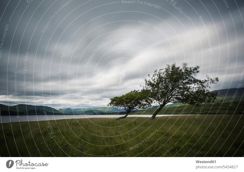 UK, Schottland, gekippte Bäume im Trossachs-Nationalpark Niemand Wolkendecke Wolkenhimmel Nationalparks ländliches Motiv nicht städtisch Meer Meere Baum Baeume