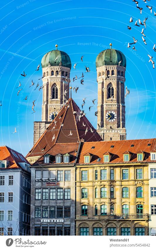 Deutschland, München, Blick auf die Türme der Marienkirche mit Häusern und Vogelflug im Vordergrund hinter Turm Tuerme Stadtzentrum Innenstadt Haus Haeuser