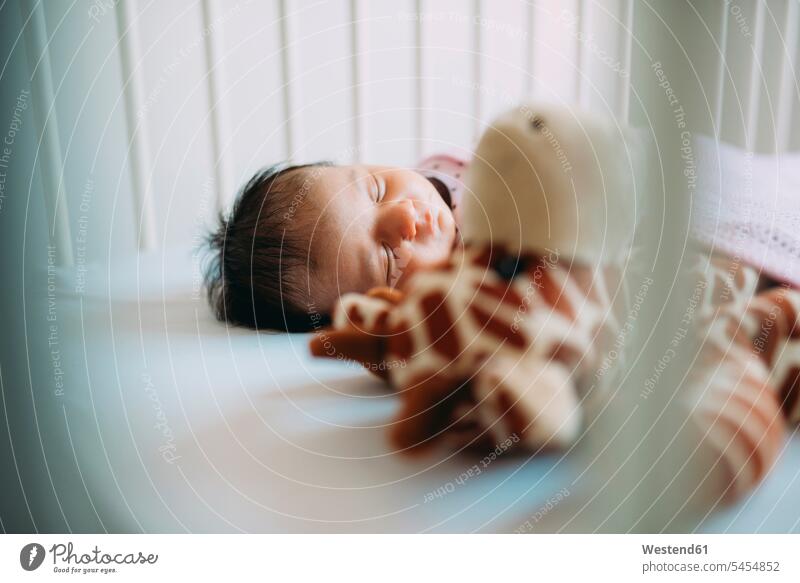 Neugeborenes Mädchen schläft im Gitterbett mit einer Plüschgiraffe Stofftier Stofftiere liegen liegend liegt Kind Babies Babys Kinder Babybett Babybetten