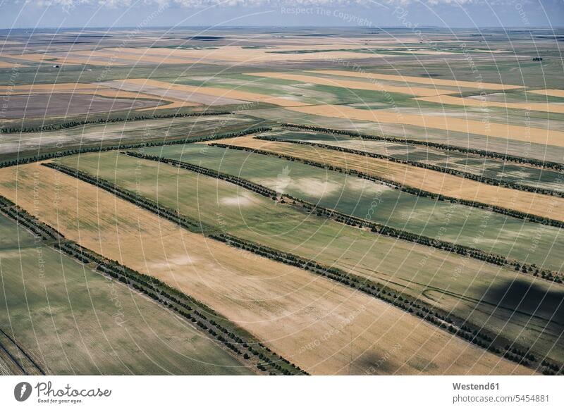 USA, Farmfelder mit Baumschönheitsstreifen in West-Nebraska Ernte ernten Luftaufnahme Luftaufnahmen Vogelperspektive Luftbild Luftbilder Tag am Tag