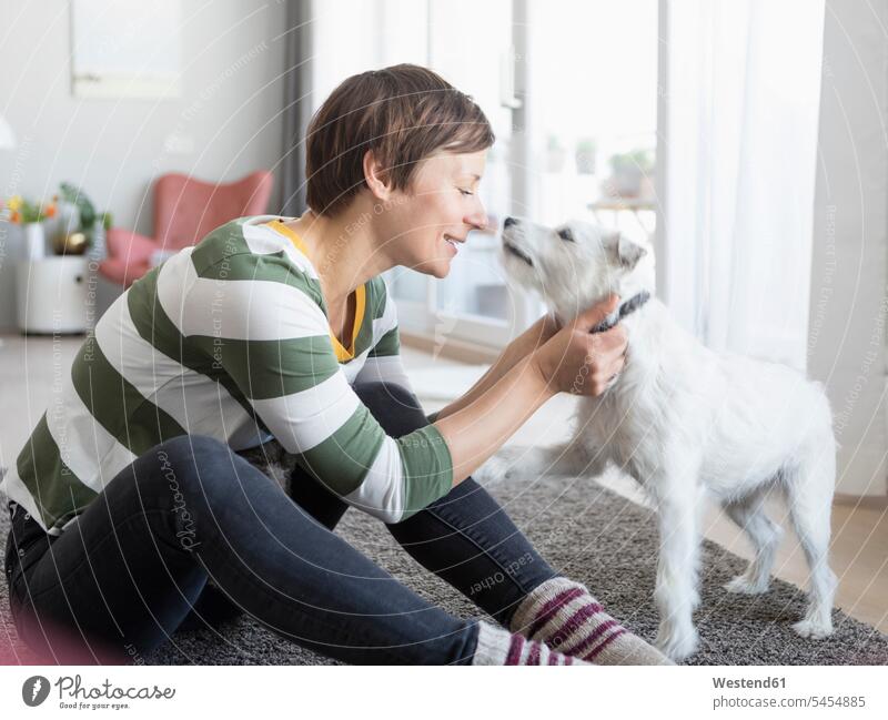 Lächelnde Frau sitzt im Wohnzimmer auf dem Boden und kuschelt mit ihrem Hund Hunde weiblich Frauen Haustier Haustiere Tier Tierwelt Tiere Erwachsener erwachsen