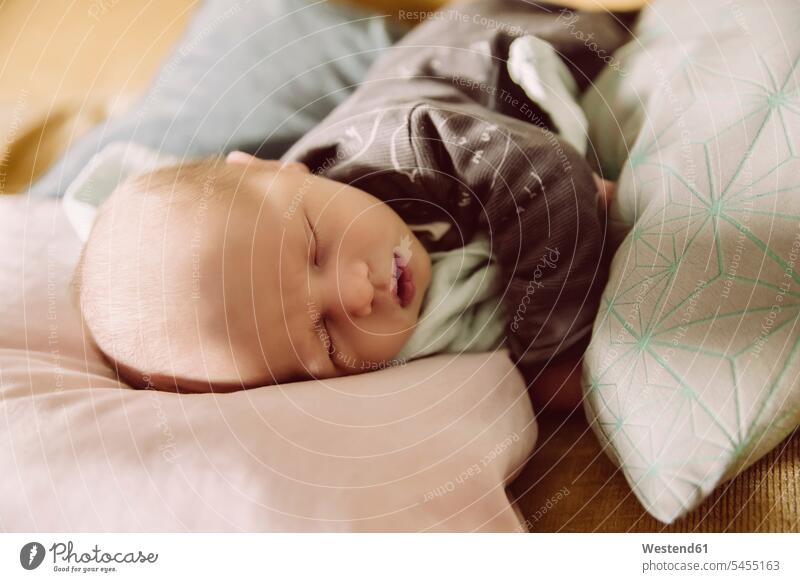 Neugeborenes Baby liegt und schläft auf der Couch zwischen Kissen Polster Babies Babys Saeugling Saeuglinge Säuglinge Kind Kinder liegen liegend schlafen