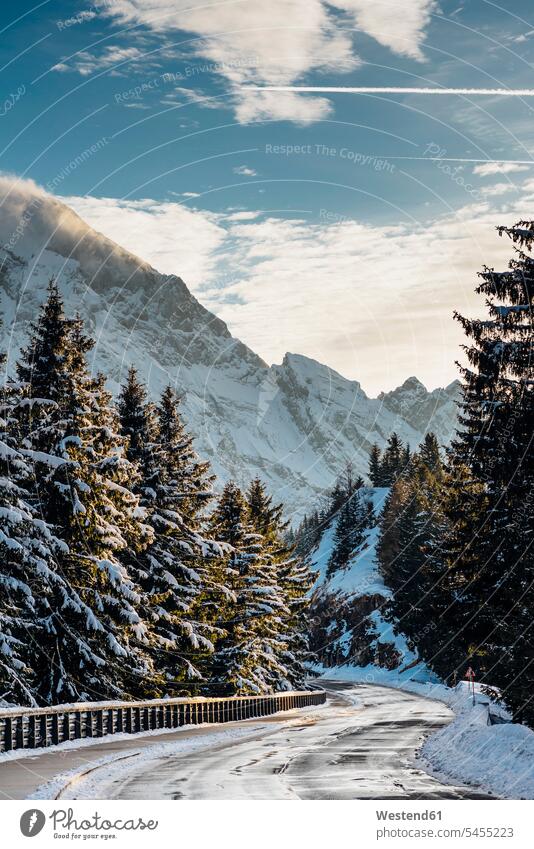 Deutschland, Berchtesgadener Land, Nationalpark Berchtesgaden, Roßfeld-Landschaftsstraße im Winter kalt Kälte kurvenreiche Straße Tanne Abies Tannen Alpen