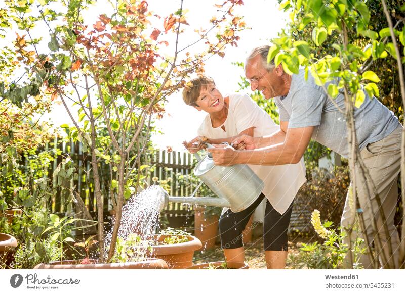 Glückliches älteres Ehepaar gießt gemeinsam Pflanzen im Garten Gärten Gaerten Gartenanlage Gartenanlagen Paar Pärchen Paare Partnerschaft lächeln gießen giessen