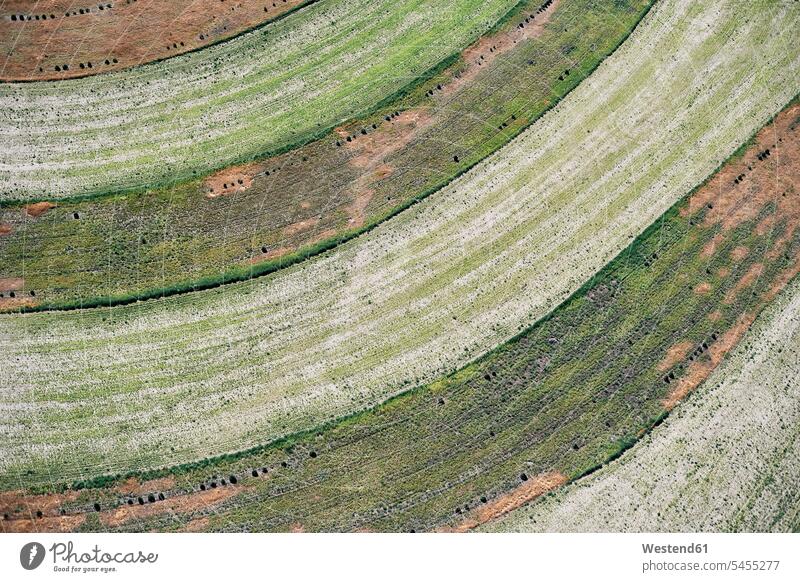 Aerial photograph of contour farming after harvest in Western Nebraska Ernte ernten Tag am Tag Tageslichtaufnahme tagsueber Tagesaufnahmen Tageslichtaufnahmen
