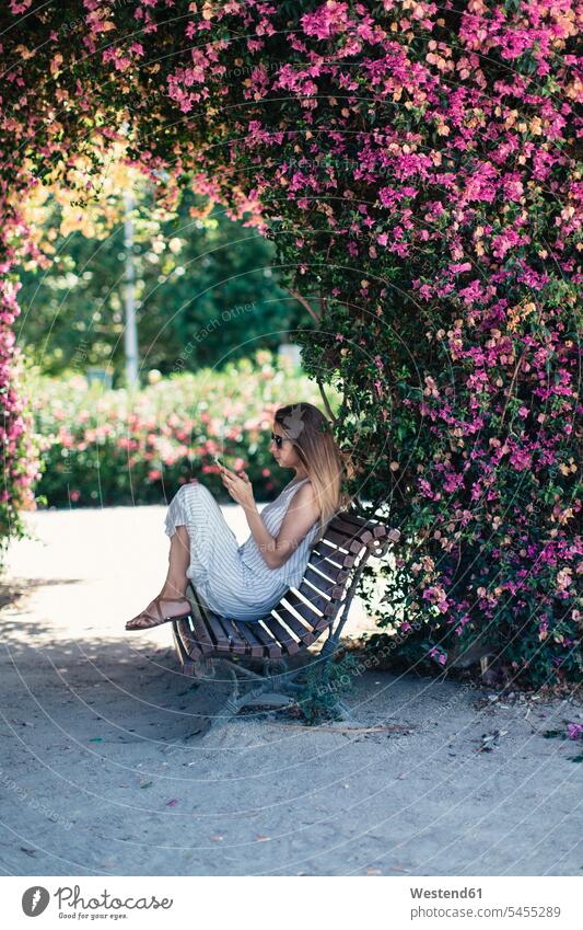 Frau mit Handy auf Parkbank unter rosa Blüten sitzend blühen erblühen blühend sitzt Bank Sitzbänke Bänke Sitzbank Mobiltelefon Handies Handys Mobiltelefone