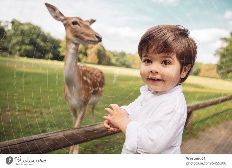Porträt eines glücklichen Kleinkindes in einem Wildpark mit Rehen im Hintergrund Wildparks Junge Buben Knabe Jungen Knaben männlich Portrait Porträts Portraits