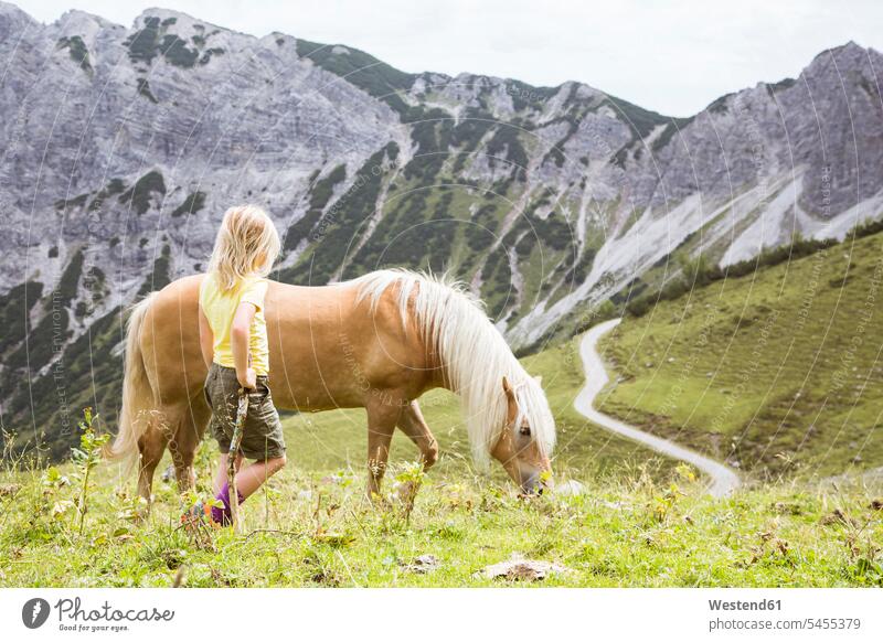 Österreich, Südtirol, junges Mädchen mit Pferd auf der Wiese Abenteuer abenteuerlich weiblich betrachten betrachtend Wiesen Wanderin Wanderinnen Equus caballus