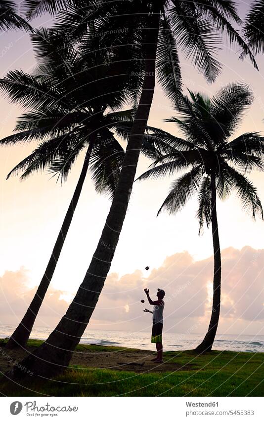 Dominikanische Republik, Mann jongliert bei Sonnenuntergang zwischen Palmen jonglieren Männer männlich Erwachsener erwachsen Mensch Menschen Leute People