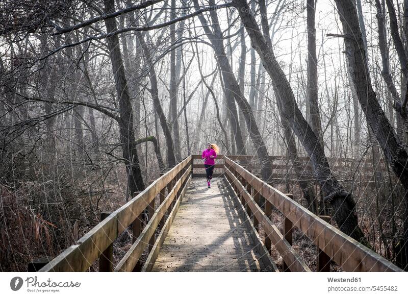 Frau rennt auf Holzbrücke durch den Wald laufen rennen weiblich Frauen Joggen Jogging Erwachsener erwachsen Mensch Menschen Leute People Personen Fitness fit