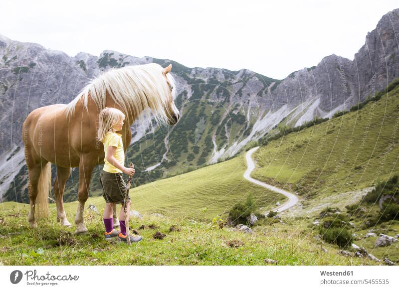 Österreich, Südtirol, junges Mädchen mit Pferd auf der Wiese Gemeinsam Zusammen Miteinander Wanderin Wanderinnen Equus caballus Pferde betrachten betrachtend