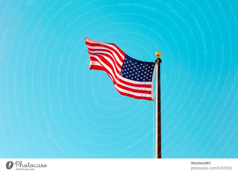 Amerikanische Flagge Patriotismus Nationalbewusstsein Patriotisch Vaterlandsliebe Nationalflagge Nationalflaggen Nationalfahnen Tag am Tag Tageslichtaufnahme