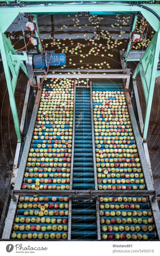Äpfel in der Fabrik auf Förderband reinigen Ware Handelswaren Waren Lebensmittelindustrie Ernährungsindustrie Nahrugsmittelindustrie Maschine Maschinen