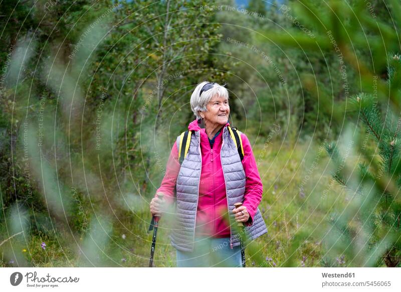 Wandernde ältere Frau Seniorin Seniorinnen alt wandern Wanderung Senioren weiblich Frauen Erwachsener erwachsen Mensch Menschen Leute People Personen