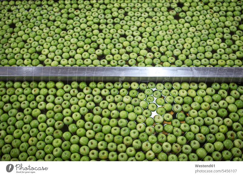 Grüne Äpfel in der Fabrik werden gewaschen reinigen Ware Handelswaren Waren Lebensmittelindustrie Ernährungsindustrie Nahrugsmittelindustrie