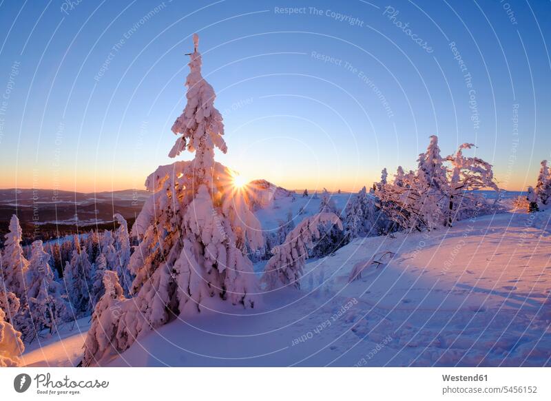 Deutschland, Bayern, Bayerischer Wald im Winter, Großer Arber, Sonnenuntergang Außenaufnahme draußen im Freien Gegenlicht Gegenlichtaufnahme Gegenlichtaufnahmen