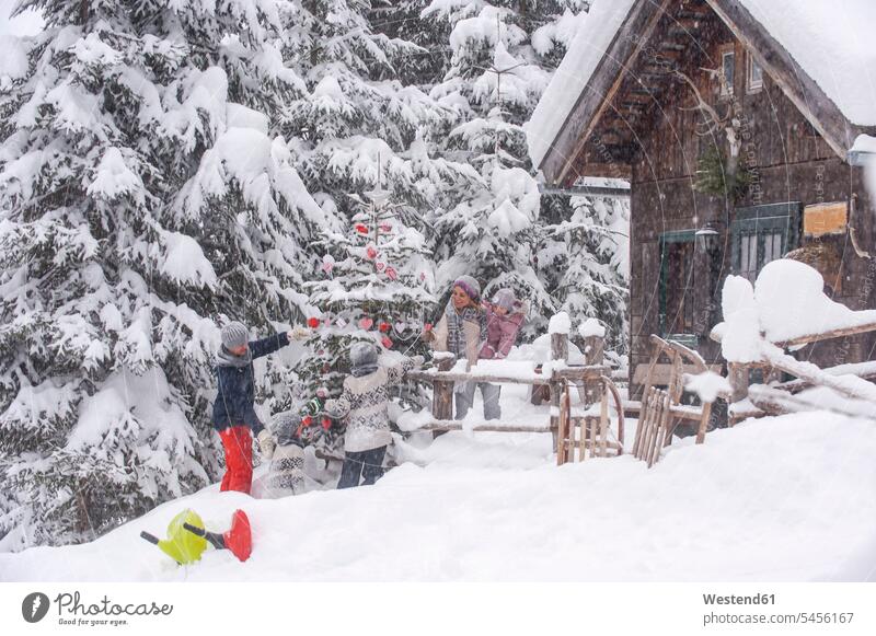 Österreich, Altenmarkt-Zauchensee, Familie schmückt Weihnachtsbaum am Holzhaus Schnee Christbaum Weihnachtsbäume Weihnachtsbaeume Christbäume Christbaeume