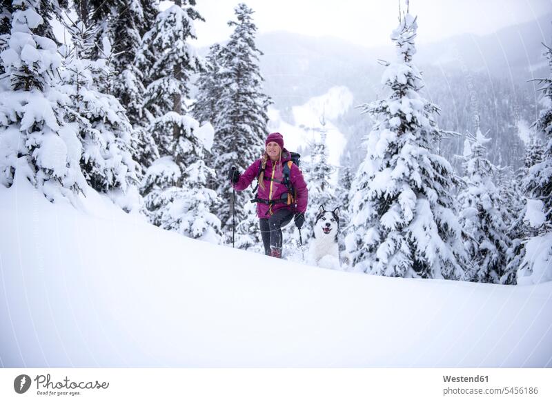 Österreich, Altenmarkt-Zauchensee, junge Frau mit Hund auf Skitour im Winterwald Hunde Skis Schi Schier Skier winterlich Winterzeit Wald Forst Wälder weiblich