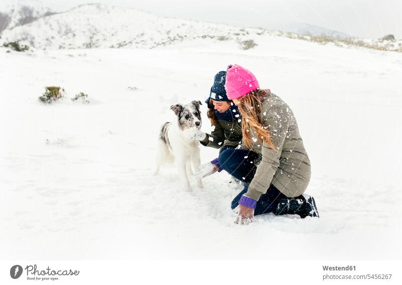Zwei Freunde spielen mit einem Hund im Schnee Winter winterlich Winterzeit Freundschaft Kameradschaft lachen Hunde positiv Emotion Gefühl Empfindung Emotionen