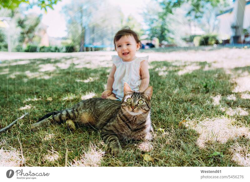 Porträt einer gestromten Katze auf einer Wiese mit lachendem Mädchen im Hintergrund Katzen Haustier Haustiere Tier Tierwelt Tiere weibliche Babys