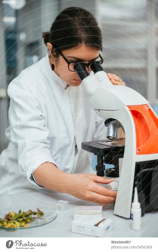 Labortechniker mit Mikroskop im Labor untersuchen Frau arbeiten Laborantin Arbeitsplatz Untersuchung Erwachsener Mensch Wissenschaft Kontrolle Analyselabor