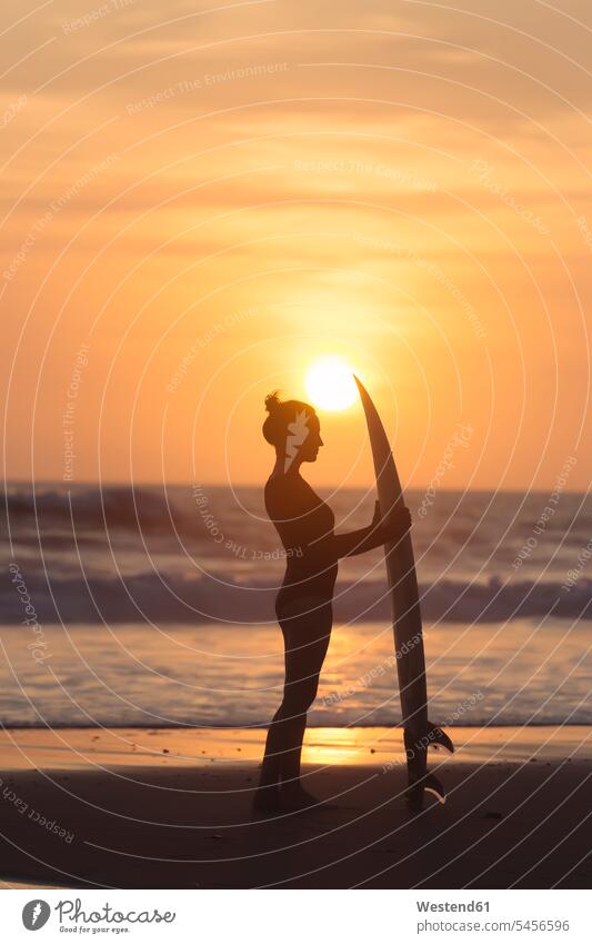 Indonesien, Bali, junge Frau mit Surfbrett bei Sonnenuntergang stehen stehend steht Silhouette Umriß Gegenlicht Schattenbilder Silhouetten Konturen Umriss
