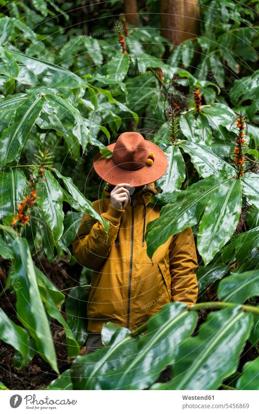 Mann steht im Wald, umgeben von riesigen Blättern, Sao-Miguel-Insel, Azoren, Portugal Touristen Hüte Jacken Farben Farbtoene Farbton Farbtöne Groesse Riese