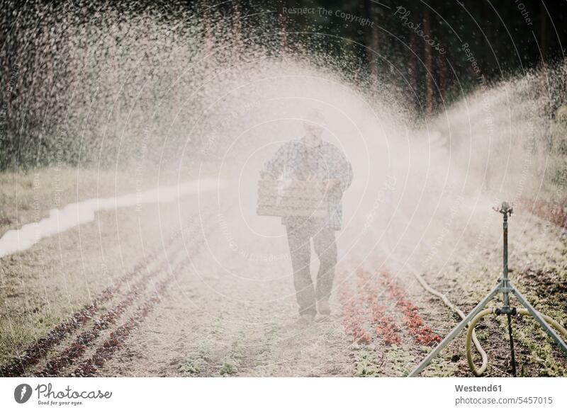 Landwirt trägt Korb, während er am landwirtschaftlichen Sprinkler im Bauernhof vorbeigeht Farbaufnahme Farbe Farbfoto Farbphoto Außenaufnahme außen draußen