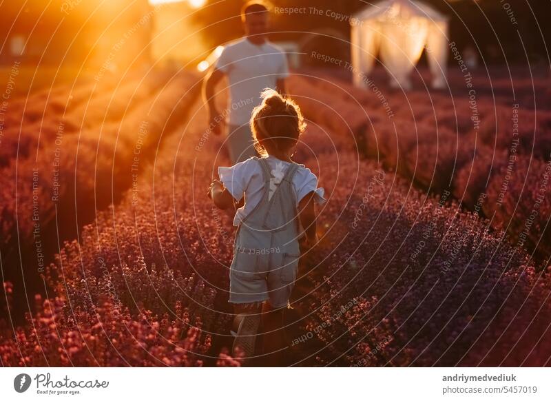 Vatertag. Junge Vater und Kleinkind Kind Tochter haben Spaß in einem Lavendelfeld in voller Blüte auf Sonnenuntergang Licht. Familie Tag Konzept. Glückliche Kindheit, Lebensstil.