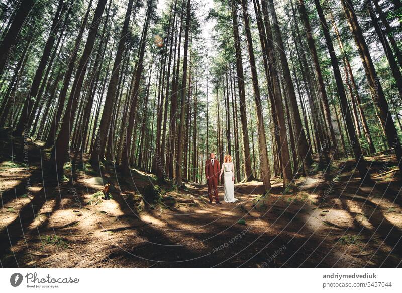 Glückliche stilvolle Paar Jungvermählten in den grünen Wald am Sommertag. Braut in langen weißen Kleid und Bräutigam im roten Anzug sind umarmt. Park Tag