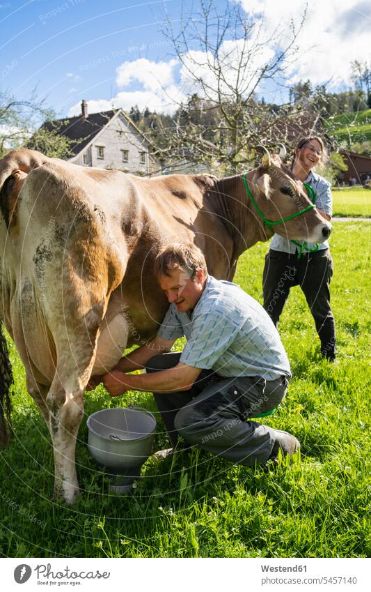 Landwirt mit seiner Frau beim Melken einer Kuh auf der Weide Leute Menschen People Person Personen Europäisch Kaukasier kaukasisch Nordeuropäisch Südeuropäisch