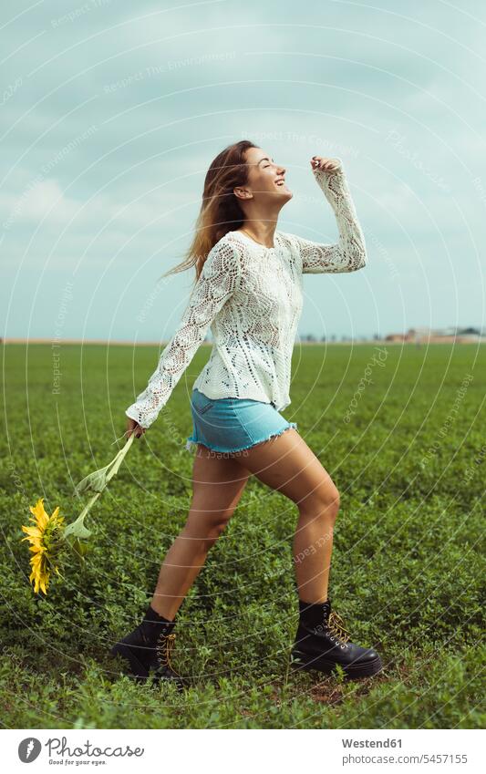 Junge Frau geht, hält eine Sonnenblume in einem grünen Feld gehen gehend Freiheit frei halten Harmonie harmonisch Sonnenblumen Helianthus annuus glücklich Glück