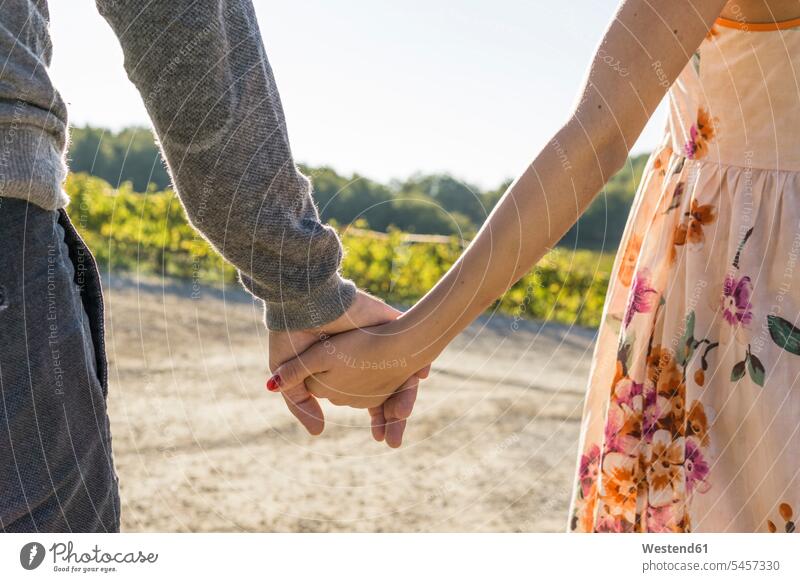 Italien, Toskana, Siena, Nahaufnahme von Paar Hand in Hand in einem Weinberg Weingaerten Weingarten Weingärten Weinberge Hände Pärchen Paare Partnerschaft