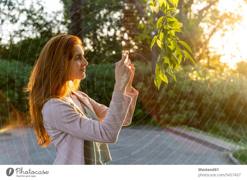 Junge rothaarige Frau nimmt ein Foto von Blättern in einem Park Bilder Bildnis Fotos Telekommunikation telefonieren Handies Handys Mobiltelefon Mobiltelefone