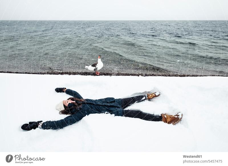 Graugans und junge Frau am Starnberger See im Winter Schneeengel Spaß Spass Späße spassig Spässe spaßig Begegnung liegen liegend liegt zutraulich Zutraulichkeit