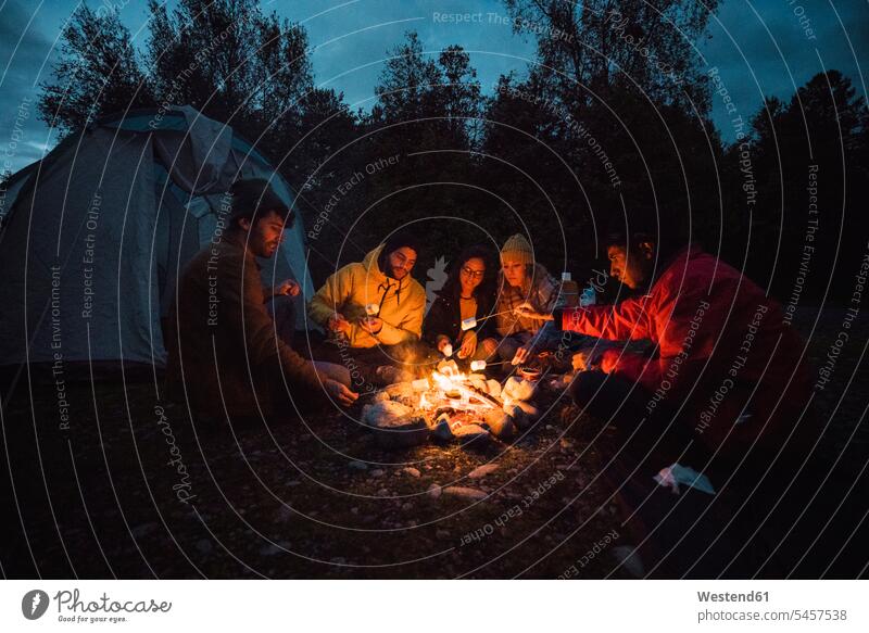 Gruppe von Freunden sitzt am Lagerfeuer und röstet Marshmallows rösten braten Mäusespeck Maeusespeck sitzen sitzend aufwärmen sich aufwärmen sich aufwaermen