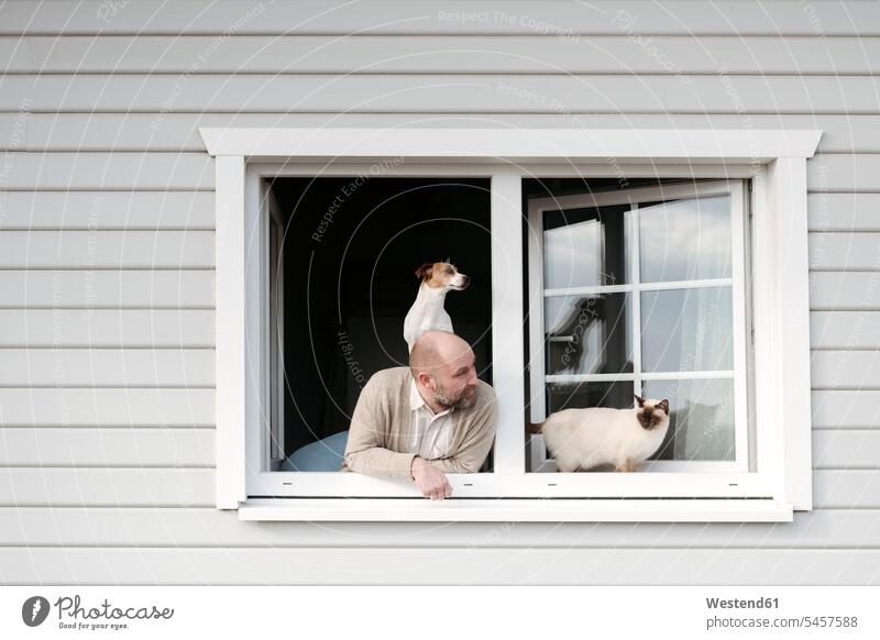 Erwachsener Mann mit Katze und Hund, der sich aus dem Fenster seines Hauses lehnt Tiere Tierwelt Haustiere Katzen Fensterscheiben entspannen relaxen