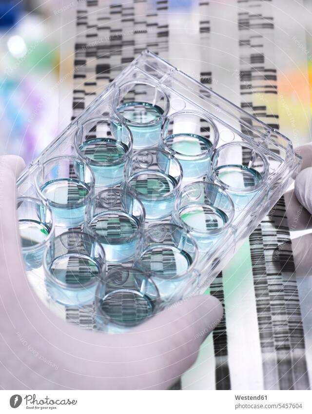 Genetische Forschung, Wissenschaftlerin hält eine Multiwell-Platte und ein DNA-Gel in der Hand, das den genetischen Aufbau der Proben offenbart Forscher Analyse