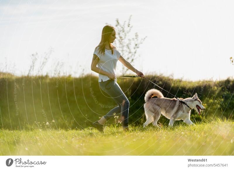 Junge Frau geht mit ihrem Hund in der Natur spazieren Tiere Tierwelt Haustiere Hunde T-Shirts gehend rennen abends Jahreszeiten sommerlich Sommerzeit