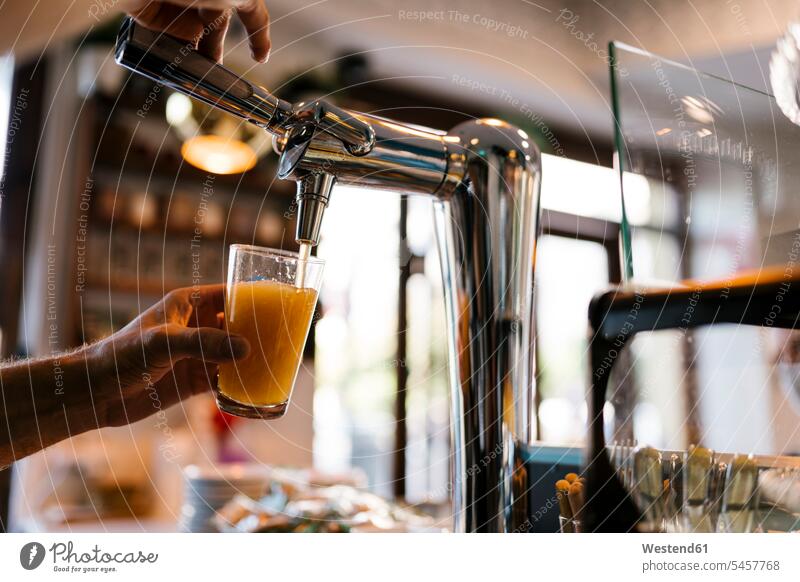 Barkeeper gießt Bier in Glas im Cafe Farbaufnahme Farbe Farbfoto Farbphoto Tag Tageslichtaufnahme Tageslichtaufnahmen Tagesaufnahme am Tag Tagesaufnahmen