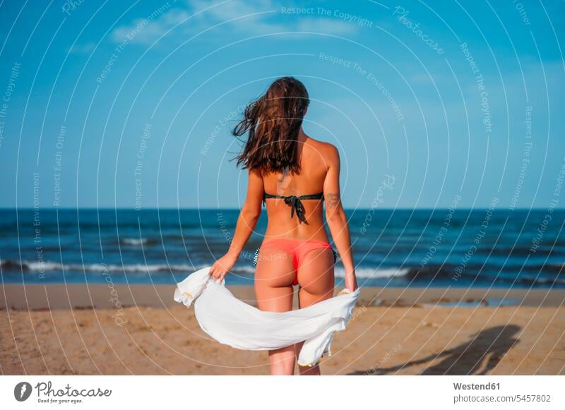 Rückansicht einer jungen Frau im Tanga-Bikini am Strand Bikinis weiblich Frauen Beach Straende Strände Beaches Badekleidung Badebekleidung Erwachsener erwachsen
