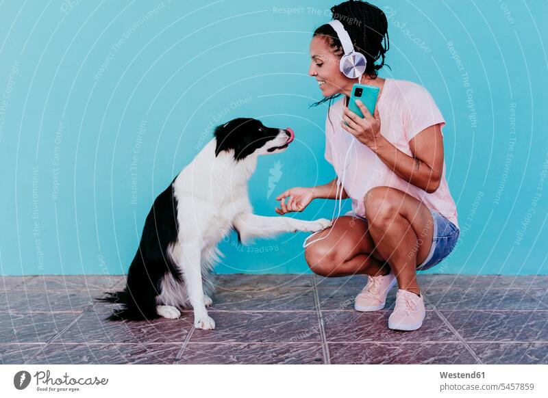 Lächelnde Frau hört Musik über Kopfhörer, während sie mit dem Border-Collie-Hund gegen eine türkisfarbene Wand Hände schüttelt Farbaufnahme Farbe Farbfoto