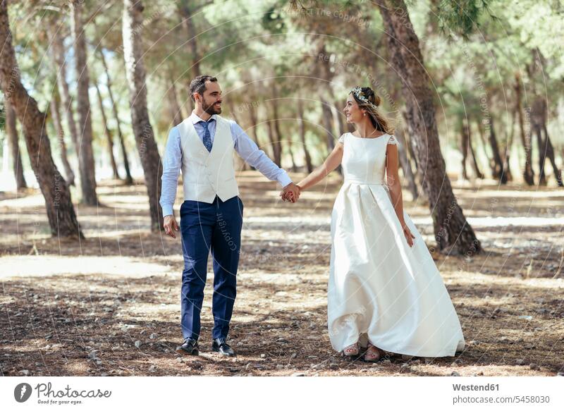 Glückliches Brautpaar zu Fuß Hand in Hand in Kiefernwald Pinienwald glücklich glücklich sein glücklichsein gehen gehend geht Brautleute Brautpaare Ehepaar