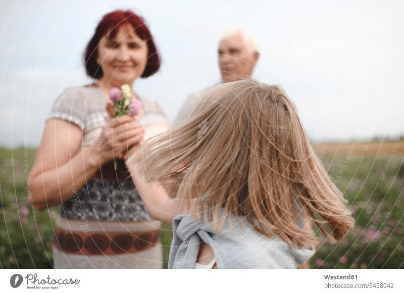 Blondes kleines Mädchen überreicht seiner Großmutter Blumen auf einer Wiese Leute Menschen People Person Personen Europäisch Kaukasier kaukasisch