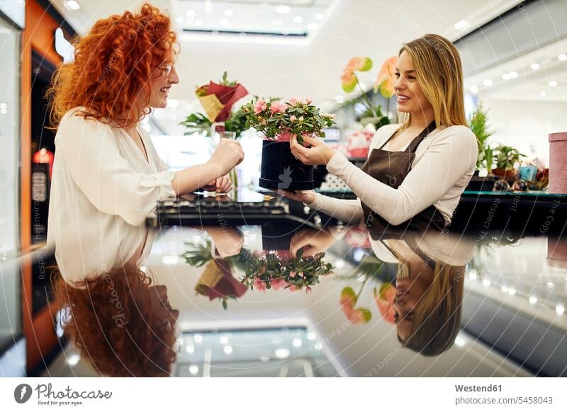 Glücklicher Kunde und Verkäuferin mit Topfpflanze an der Theke im Blumenladen Kunden Kundschaft Blumengeschäft Blumengeschaeft Blumenläden Blumenlaeden