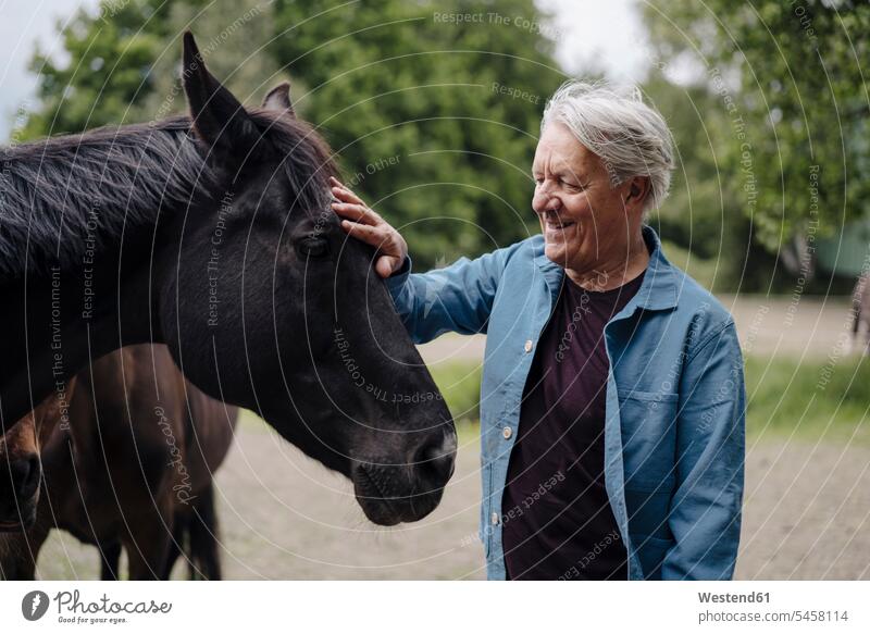 Lächelnder älterer Mann streichelt ein Pferd auf einem Bauernhof Landwirt Landwirte Hemden freuen Glück glücklich sein glücklichsein zufrieden stehend steht