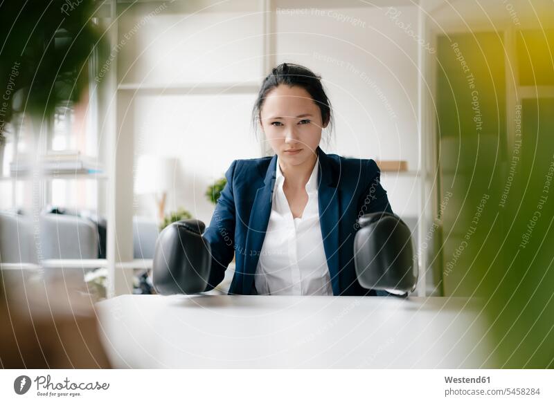 Porträt einer jungen Geschäftsfrau, die am Schreibtisch sitzt und Boxhandschuhe trägt Geschäftsfrauen Businesswomen Businessfrauen Businesswoman Portrait